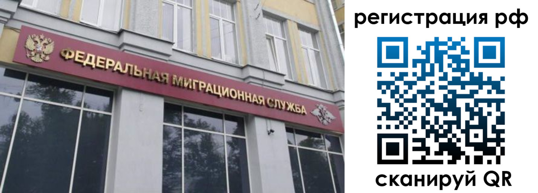 прописка законно в Грязях